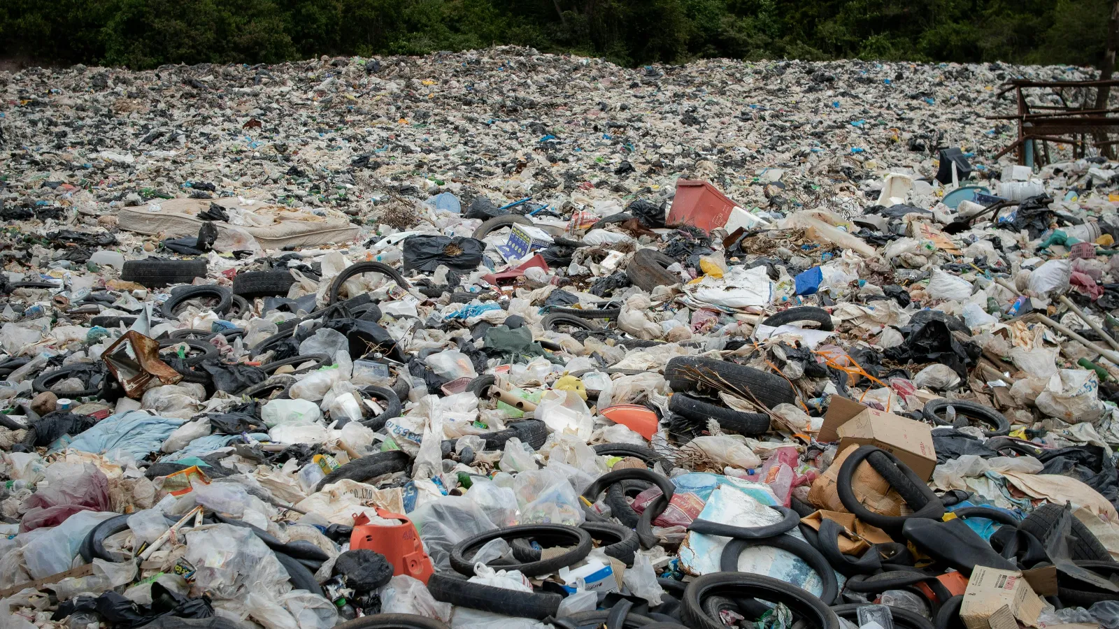 Recycling & Sustainability