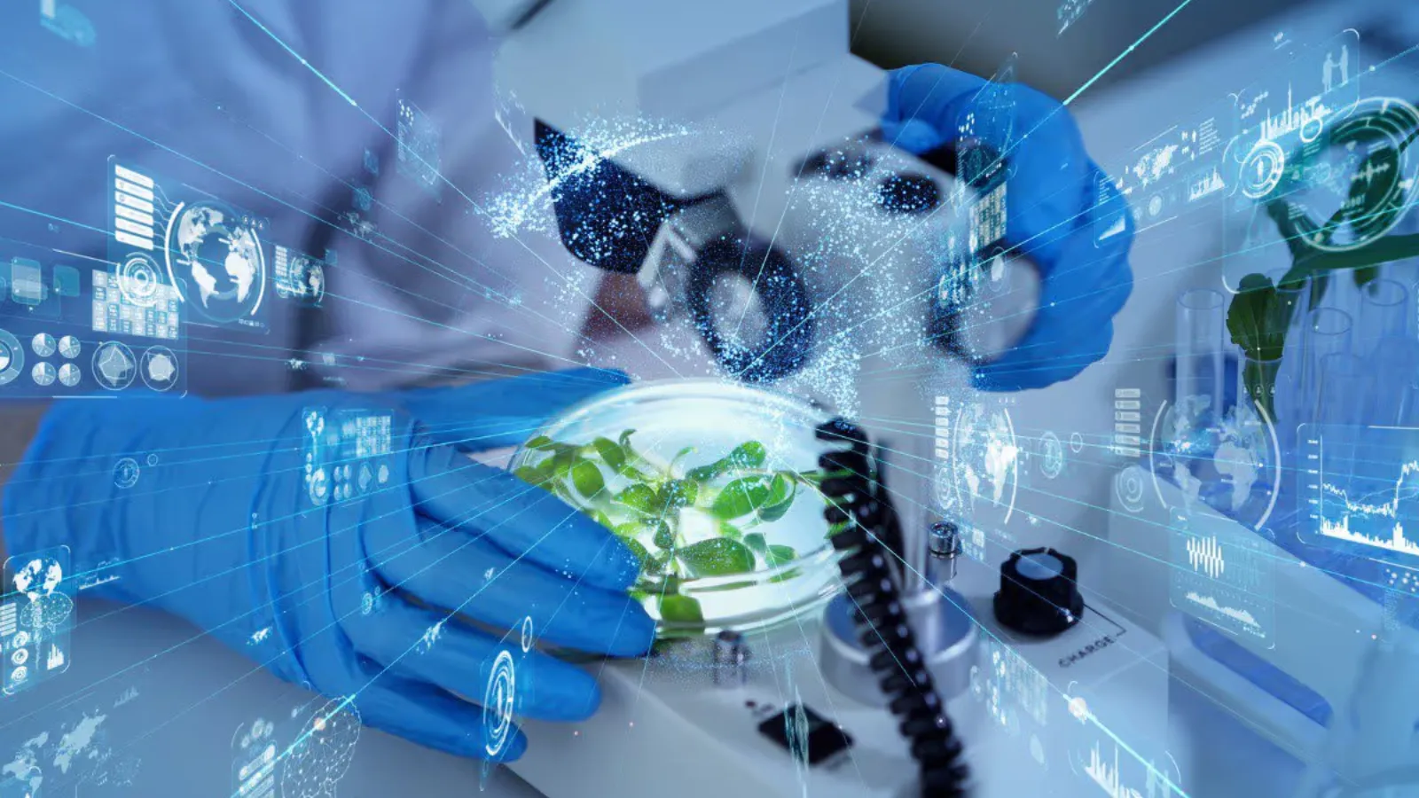 15 Essential Food and Beverage Innovation Trends For 2024